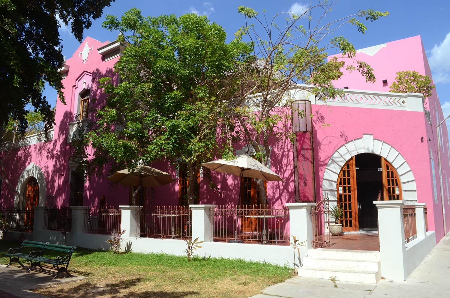 Reconocen a Rosas/Xocolate